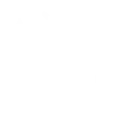 Customer